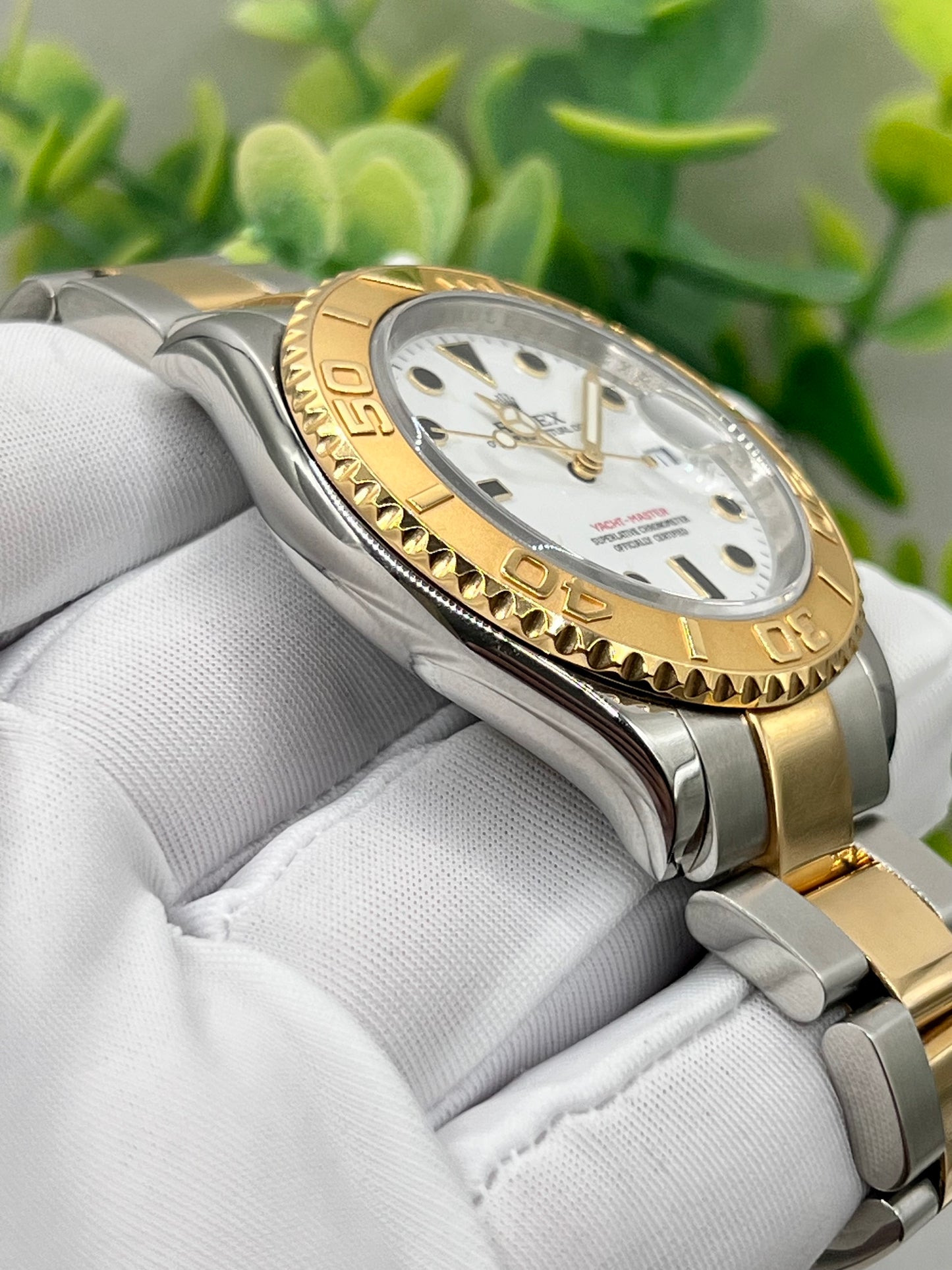 [Watch & Card] Rolex Yachtmaster 40mm, Ref 16623